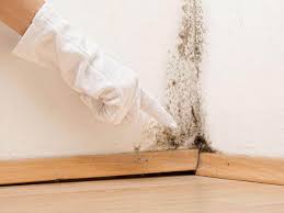 Best Black Mold Removal  in Sconsin Rapids, WI